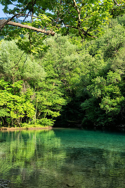 istock The green waters of Voidomatis river 510796189