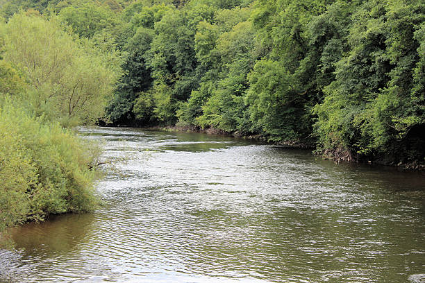 istock The River Wye 510797389