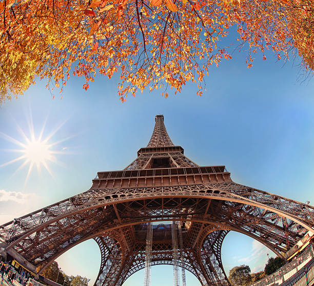 istock Eiffel Tower with autumn tree in Paris, France 510797593