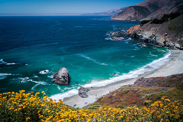 istock Big Sur coastline 510797811