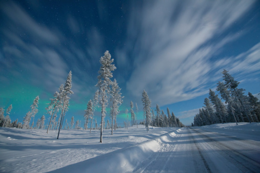 Aurora Borealis over frozen trees in the Arctic Circle