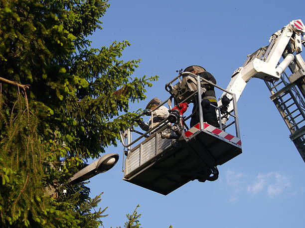 istock bee swarm and fire brigade 510798583