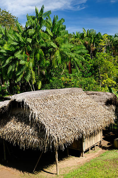 istock Amazon indian tribes in Colombia 510798989
