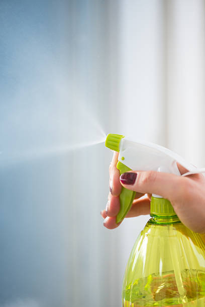 Woman's hands spraying cleaning fluid on windows, green spraying bottle, close-up, copy space