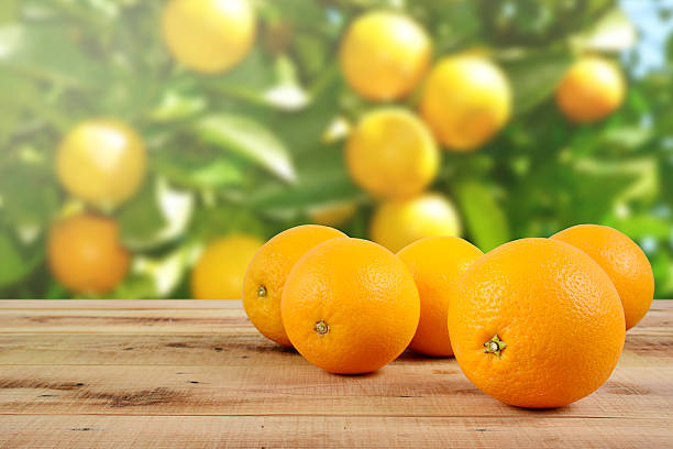 Oranges fruit on wooden and orange garden background.