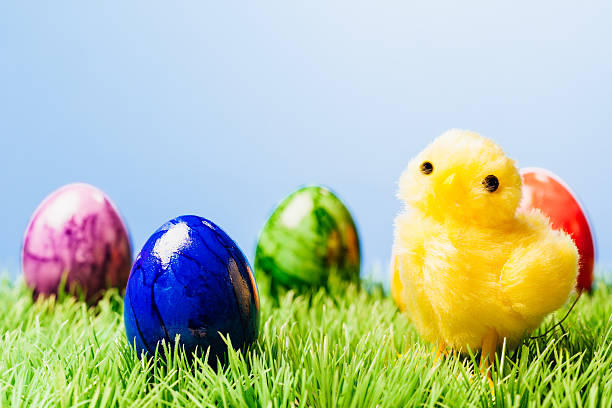 istock Easter eggs and decoration chicken in grass, blue background 510801918