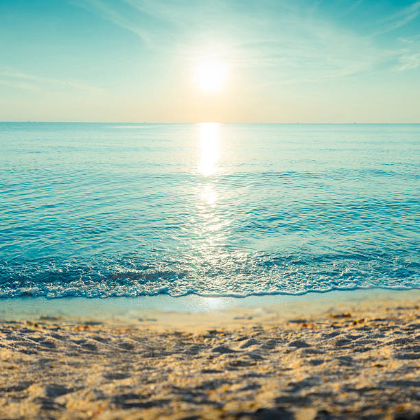 Beautiful tropical sand beach against the blue sky.