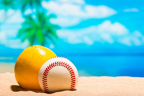 Baseball on the beach for Spring Training Grapefruit League A baseball and a grapefruit sitting on the beach for the Grapefruit League and Spring Training, with palm trees and ocean in the background spring training stock pictures, royalty-free photos & images