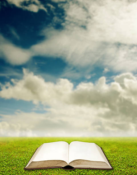 istock Open book with landscape background, Education concept 510843028