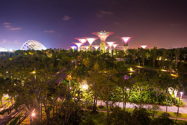 Singapore at Dusk