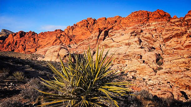 The Red Rock Canyon National Conservation Area near Las Vegas, Nevada