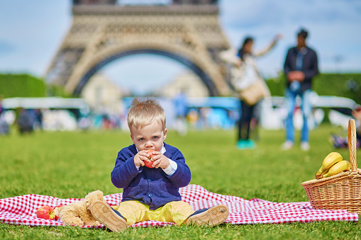 Cute little boy eating apple on picnic near the Eiffel tower in Paris