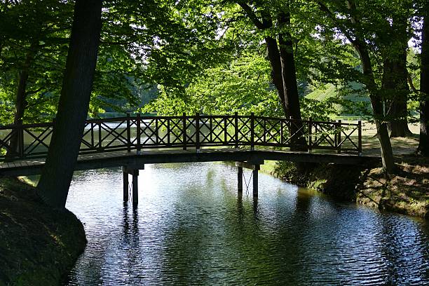 istock Japanese zen garden 510851326