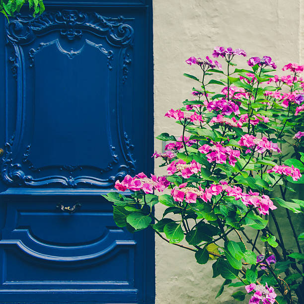 Old fashioned blue door with colorful flowers Old fashioned blue wooden house door with colorful flowers  blue front door stock pictures, royalty-free photos & images