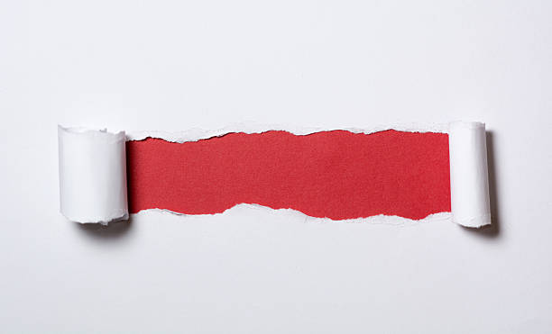 istock Ripped white paper with curled edges. 510851472
