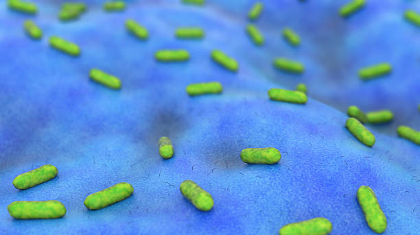 istock Escherichia Coli (E. Coli.) 510851736
