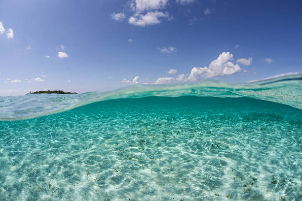 istock Sunlight and Sandy Seafloor in Caribbean 510851880