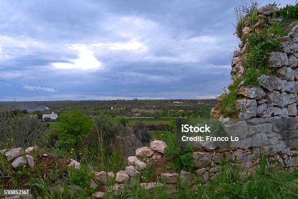 Agricultural Landscape Stock Photo - Download Image Now - Agricultural Activity, Agriculture, Biology