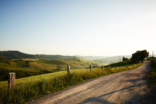 Classic Tuscan views in spring sunset time,  Pienza, Italy