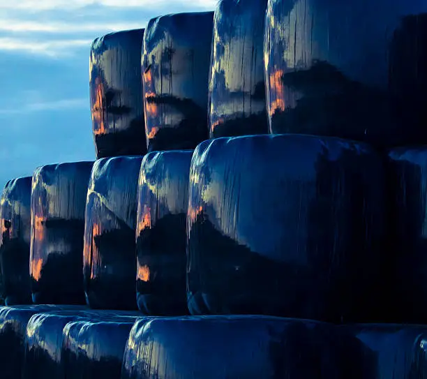Stack of black plastic wrapped cylindrical hay bales reflecting colourful clouds in sunset. Bales staked in neatly three rows high creating steps from left to right.In top right hand corner the  clouded evening sky is visible.The image of the reflected sunset is repeated on the surface of each hay bale.