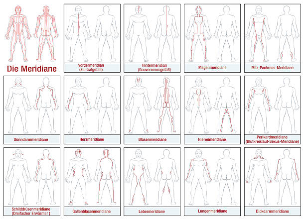 тело меридианы германии - acupuncture shiatsu reflexology meridians stock illustrations