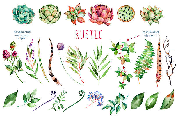 컬러풀 플로럴 컬레션 - artichoke food vegetable fruit stock illustrations