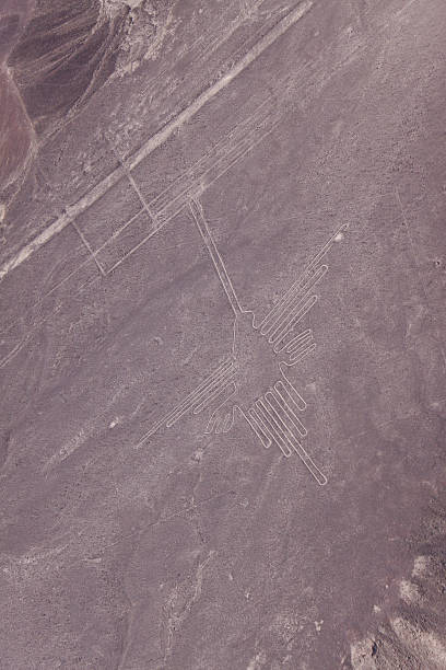 rysunki z nazca-hummingbird - floating of ice zdjęcia i obrazy z banku zdjęć
