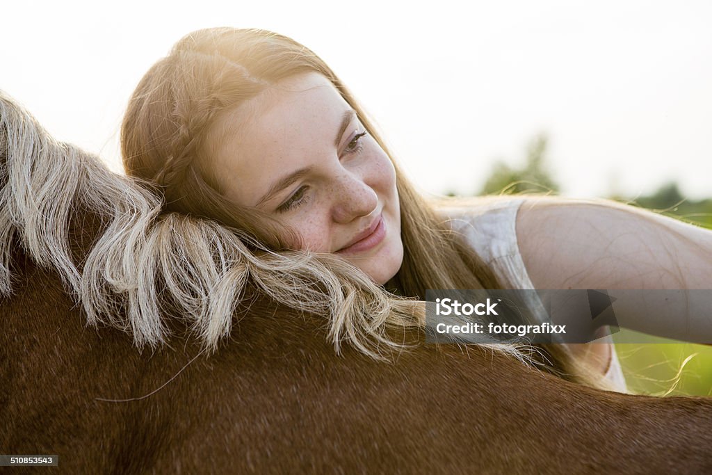 cute teenage girl and her horse teenage girl and her Haflinger Pony Horse Stock Photo