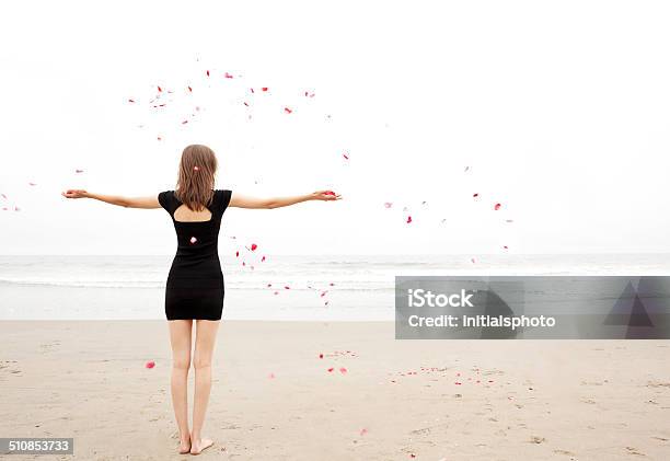 Rose Fall Stock Photo - Download Image Now - Adult, Beach, Black Color