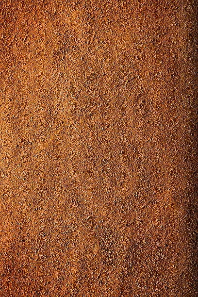 cinnamon hintergrund - bean macro brown roasted stock-fotos und bilder