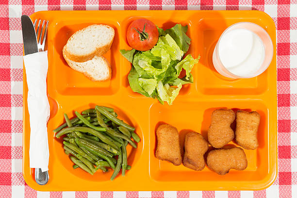 istock Tray of food 510855155