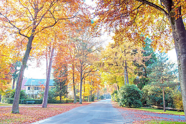 istock Fall in the countryside from the Netherlands 510855644