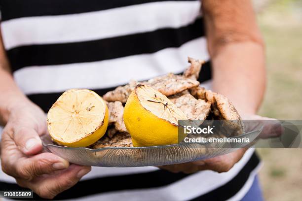 Female Hands Holding Plate With Fresh Grilled Food Stock Photo - Download Image Now - Adult, Adults Only, Chicken Meat