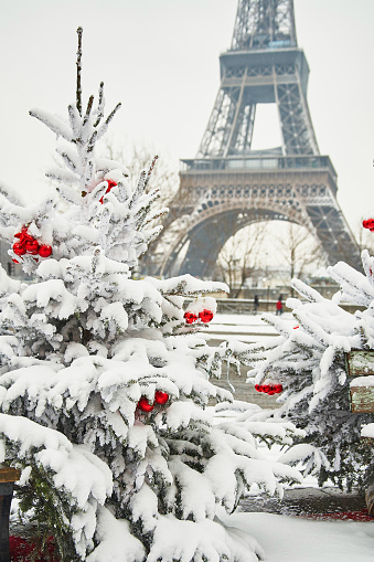 Christmas tree decorated with red balls and covered with snow on a rare snowy day in Paris. Eiffel tower is in the background