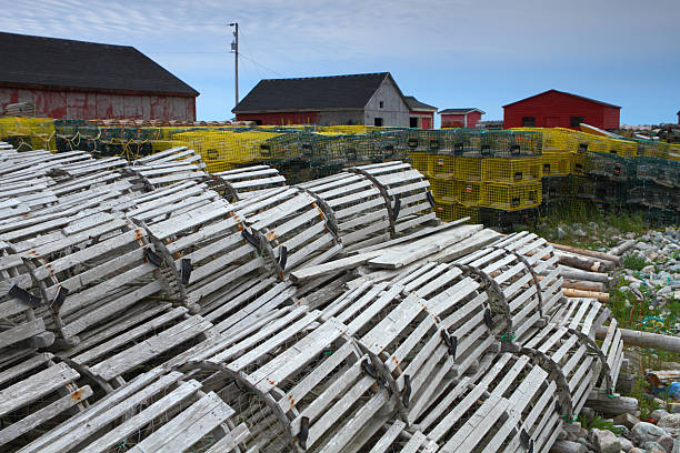 istock Fishing village and lobster traps 510857361