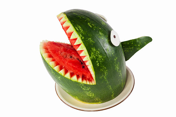 Watermelon shark - Shark carved out of a watermelon Watermelon shark - Shark carved out of a watermelon fruit carving stock pictures, royalty-free photos & images