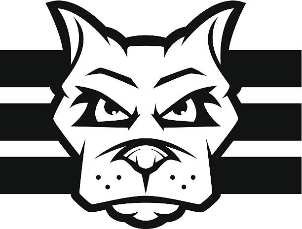Dog Face Pit bull or american bulldog dog face outline. EPS 10 format with transparencies. pitbull graphic stock illustrations