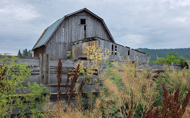 derelict drewniane barn, montana, usa. - billings old fashioned old american culture zdjęcia i obrazy z banku zdjęć
