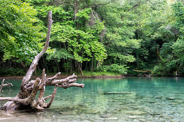 istock The green waters of Voidomatis river 510858475
