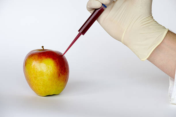 Injecting into an apple GMO are living organisms whose genetic material has been altered to enhance some qualities over others genetic modification change improvement science stock pictures, royalty-free photos & images