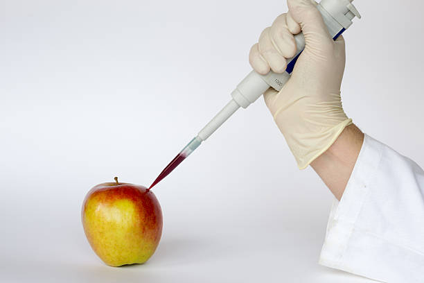 Gene editing and apple GMO are living organisms whose genetic material has been altered to enhance some qualities over others genetic modification change improvement science stock pictures, royalty-free photos & images