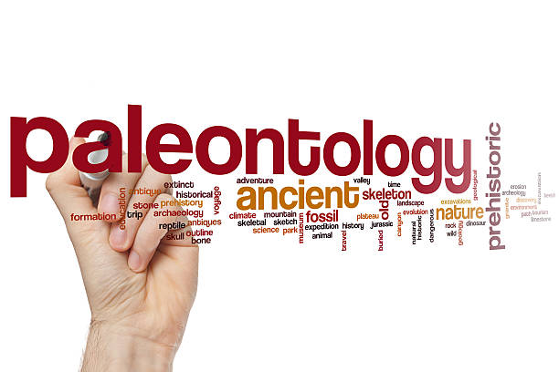 istock Paleontology word cloud 510861788