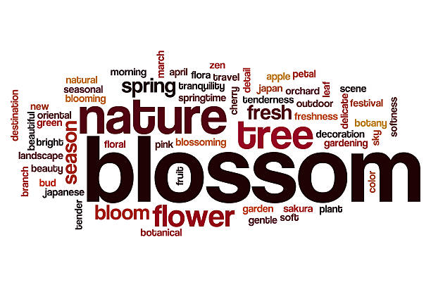istock Blossom word cloud concept 510862046