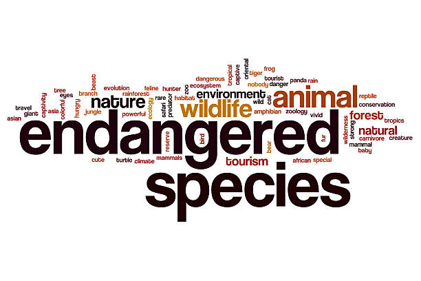 istock Endangered species word cloud concept 510862174