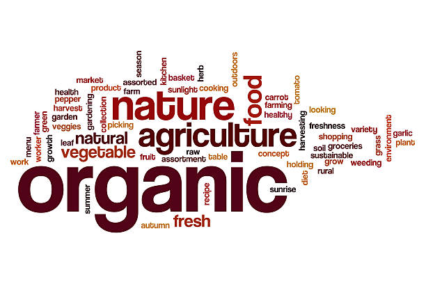 istock Organic word cloud concept 510862368