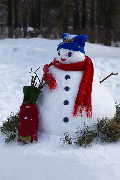 istock snowman in blue hat and red wool scarf 510862892