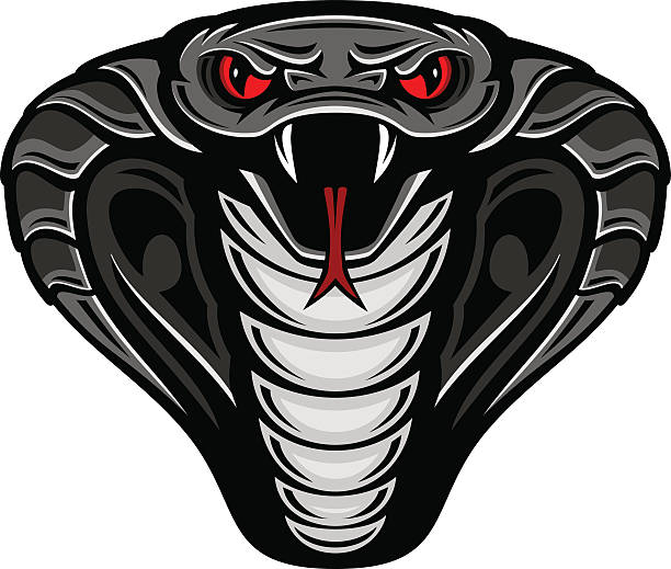 кобра талисман змея с логотипом - cobra snake poisonous organism reptiles stock illustrations