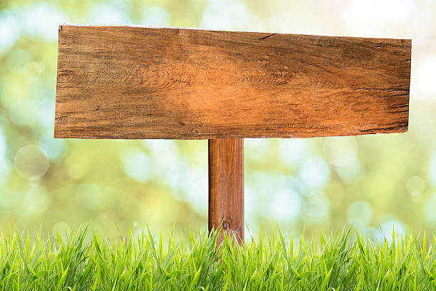 istock Wood Signboard in green grass with nature background 510864748