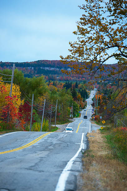 istock road travels between autumn trees 510865378