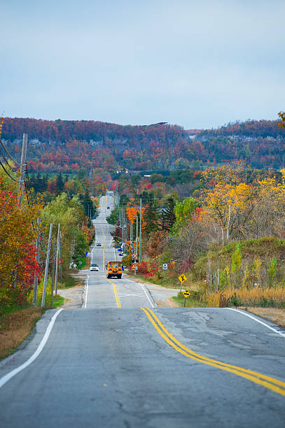 istock road travels between autumn trees 510865528